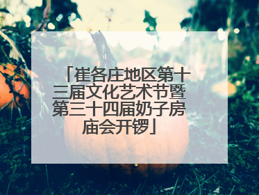 崔各庄地区第十三届文化艺术节暨第三十四届奶子房庙会开锣